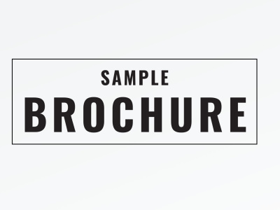 A Professionally Designed Infographic Brochure