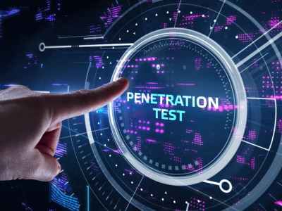 Web Application Penetration Test with Detailed Report