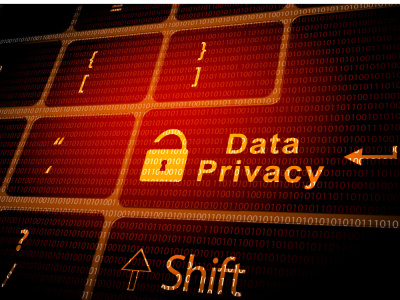 Data Privacy Audit of your business and website.