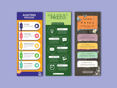 Professional infographic design | Custom infographic | Data visualization