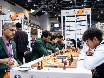 Quality Chess lessons from an experienced master-level player and coach.