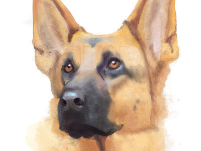A realistic, hand-painted pet portrait in the style of watercolor art