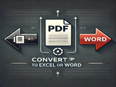 Non-editable PDF/Image/Screenshot files into Word/Excel in just 24 hour