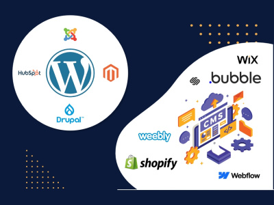 A custom WordPress website developed as per your requirements