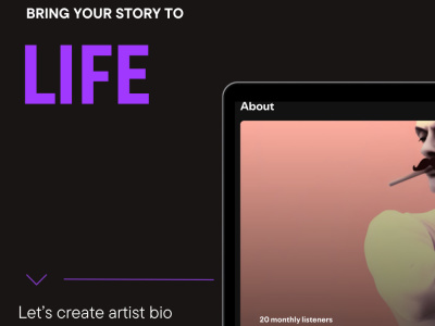 Professional artist or band biography