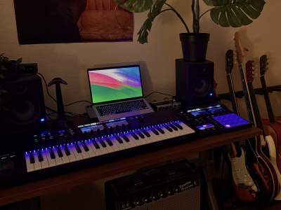 A professional bass recording