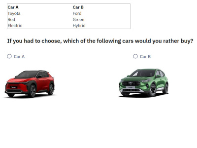 A discrete choice experiment (conjoint)