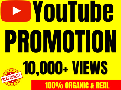 Do organic youtube video promotion