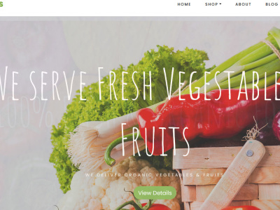 Responsive Website Design for VegeFoods Using HTML, CSS, and JavaScript ...