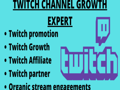 Targeted twitch channel promotion to gain more massive streamer ...