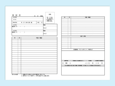 A Japanese Rirekisho (履歴書 which means resume)