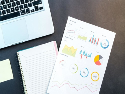 Expert Chartered Accountant | Bookkeeping, Financial Accounting & Audit