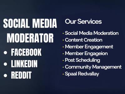 A dedicated Facebook, LinkedIn, IG, and Subreddit moderator