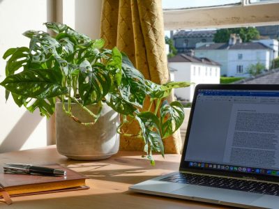High-Quality Content For Lifestyle/Travel/Home & Garden Niche