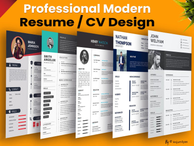 A professional resume design, CV design or cover letter