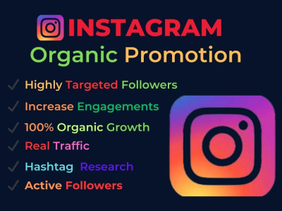 Professional Instagram Organic Growth and Promotion to Boost Engagement