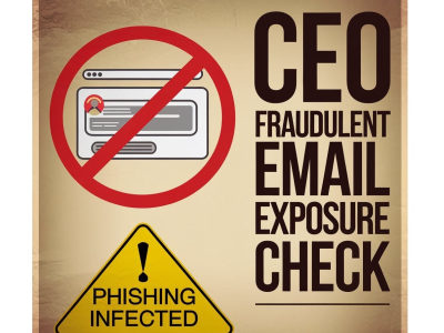 Enterprise-Wide Email Exposure Risk Assessment