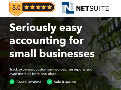 Professional QuickBooks accounting service