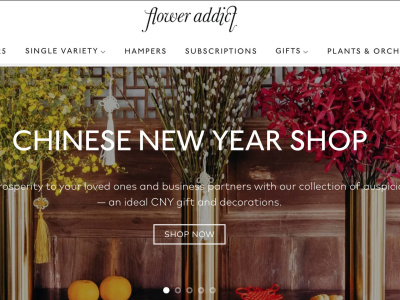 Webflow website design | Webflow DeveloperI Figma to Webflow | WebFlow SEO