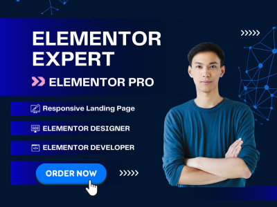 Professional Elementor Pro Website Design | Expert Elementor Developer ...