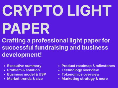 Light Paper for fundraising and business development