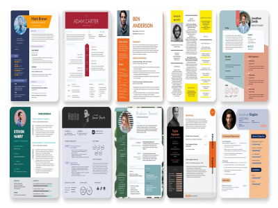 Provide professional CV design and writing services