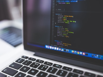 Software Developer,Software Architect