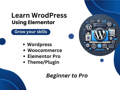 Online 1-on-1 WordPress lessons