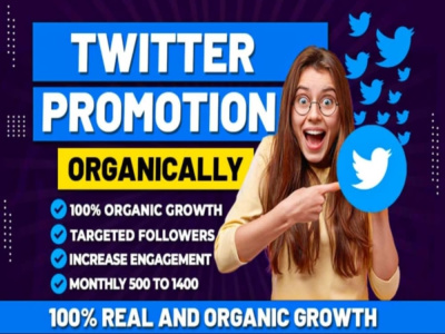 Twitter x marketing and promotion with organic growth, engagement perfectly