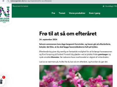 Content, blog posts, copy, and articles in Danish