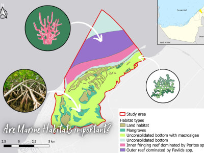 Map design, cartography, digitizing, GIS mapping, geospatial analysis.
