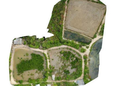 Orthophoto, dem, dtm, dsm, contours, from drone images, point cloud, survey