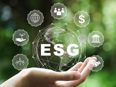 A complete ESG/Sustainability Report