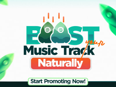 An Organic and Viral Spotify Promotion for Spotify Music