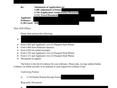 U.S. immigration forms and documents preparation and/or review