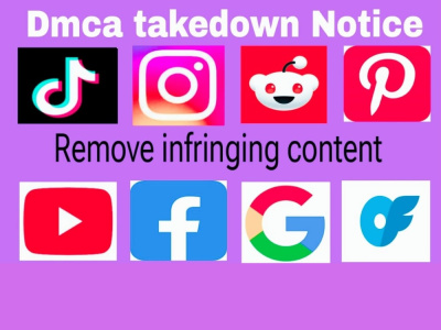 DMCA Takedown Copyright Expert