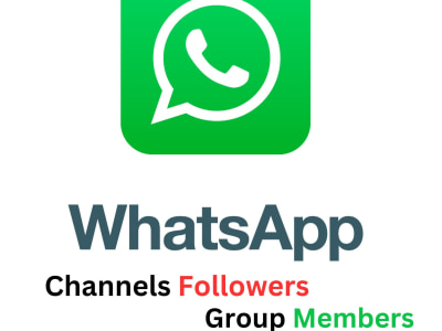 How can I increase followers and group members on WhatsApp channels