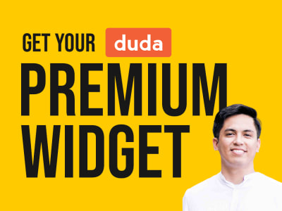 A premium custom Duda Widget