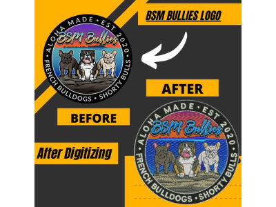 High quality embroidery digitizing within 2 hours