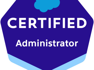 A certified salesforce admin