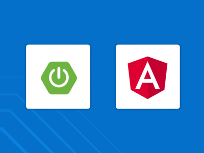 A web app using Java and Angular | Upwork