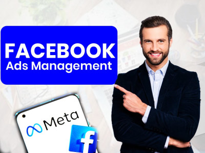Facebook Ads | Meta Ads | Linkedin Campaign Setup and Management