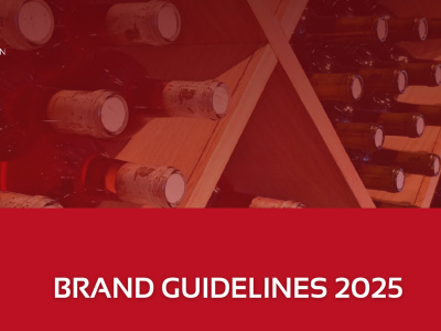 Professional Presentations, Brand Books, and Pitch Decks