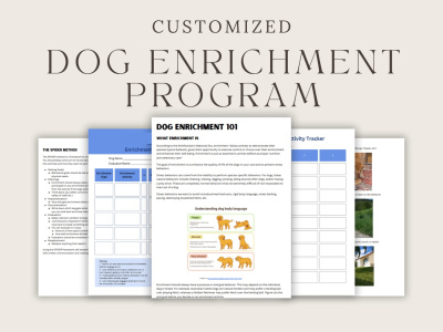 A fully customized dog enrichment plan for your dog daycare