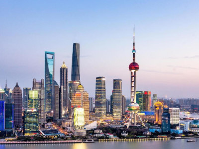 China Company Verification Service