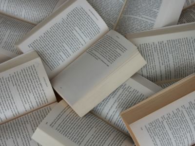 The most amazing and thrilling scenario for your novel & characters design