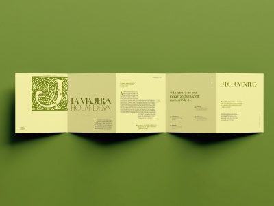 A structured and visually engaging typographic fold-out