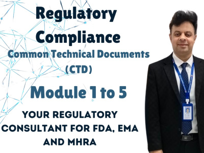 Stratey for the submission of drug product to FDA, EMA and MHRA
