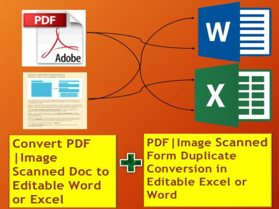 PDF & Image Doc to Editable Excel/Word – OCR Data Extraction & Conversion