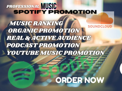 Youtube tiktok apple spotify soundcloud video music promotion